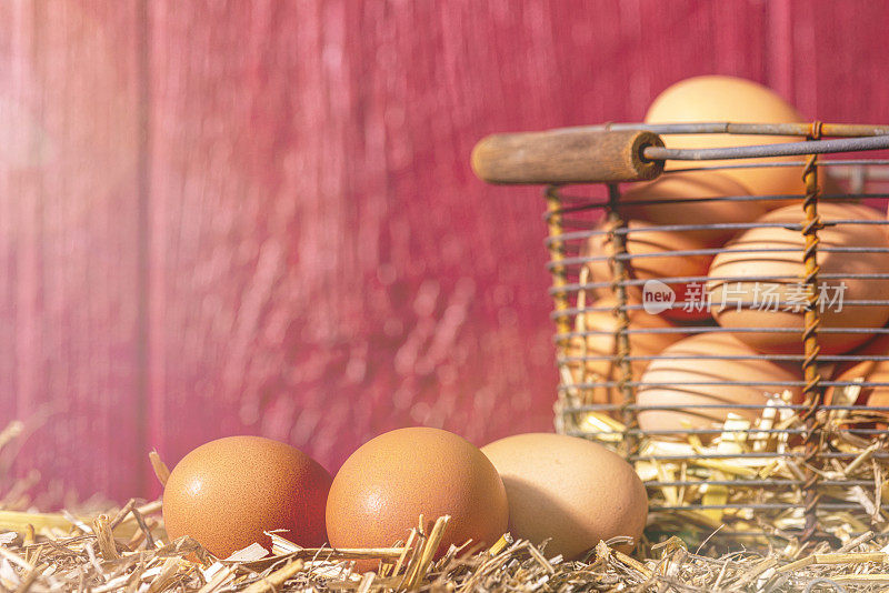 A basket full of farm fresh brown eggs on a straw bale – sunbeam